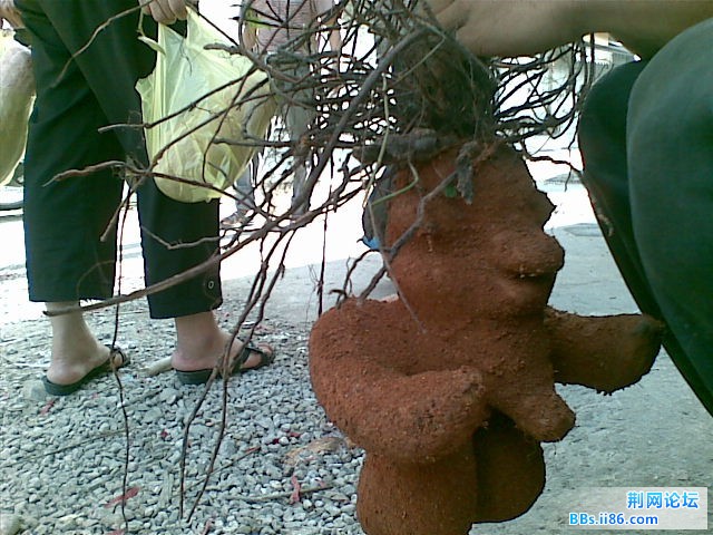 20100825.jpg