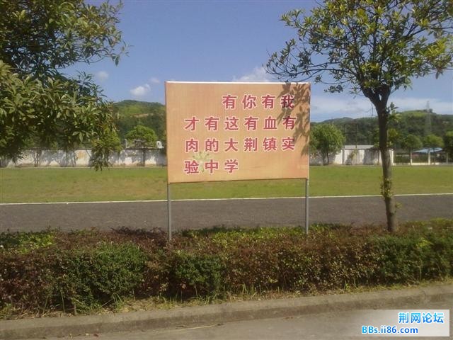 20100825374.JPG