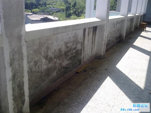 20100825371.jpg