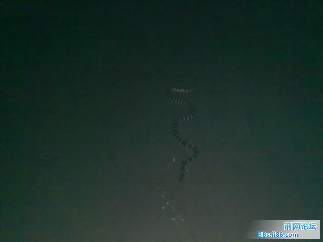 20100818352duse.jpg
