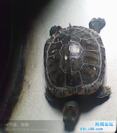 http_imgloadCA0YL14G.jpg