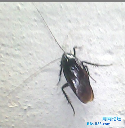 未命名0.jpg