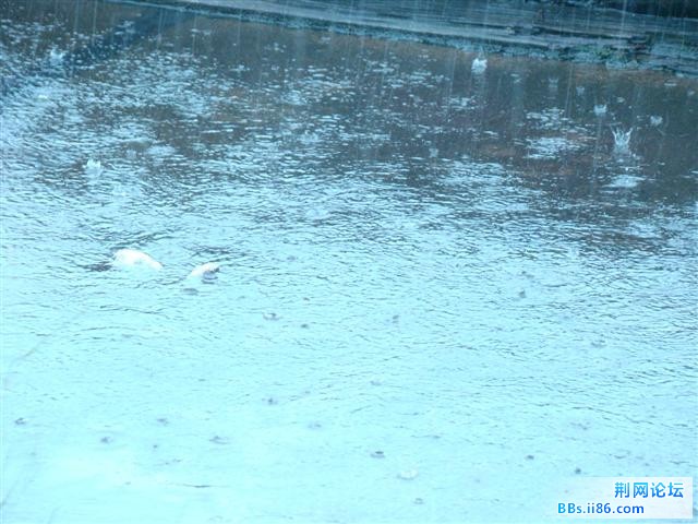 DSC05738.JPG