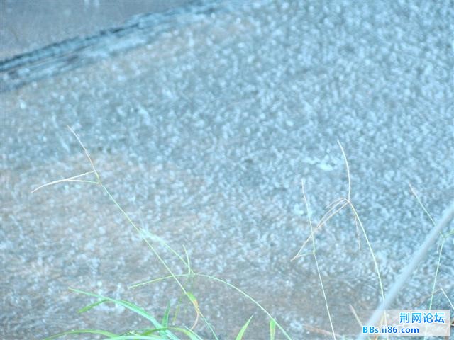 DSC05736.JPG