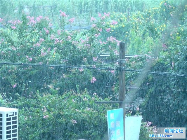 DSC05739.JPG