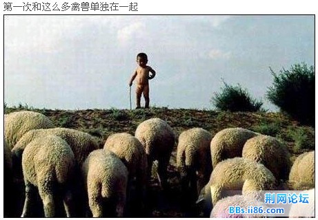 未命名9.jpg