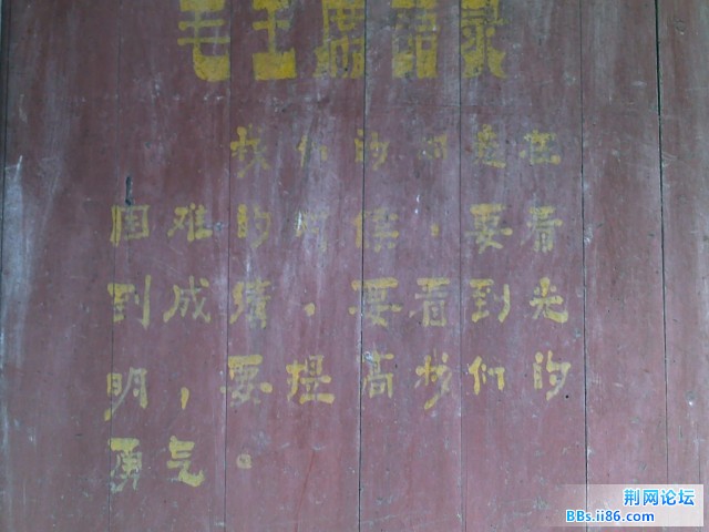 20100818220.jpg