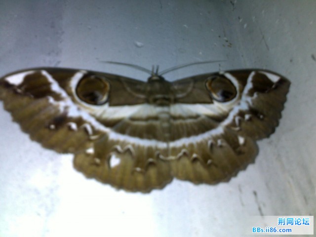 20100818222.JPG