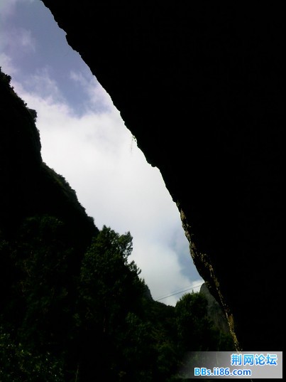 峡谷求生