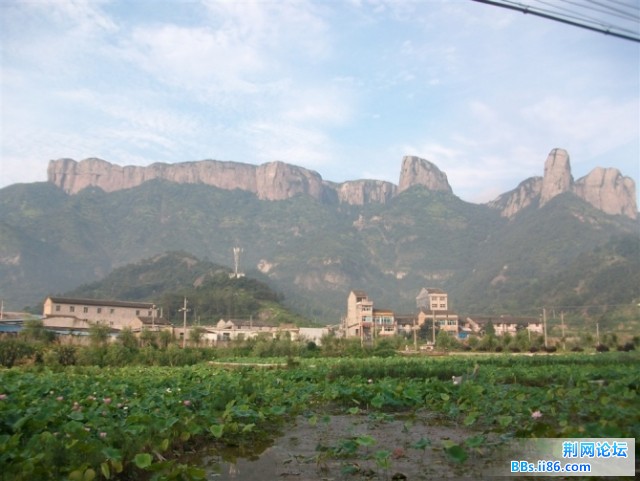 的份额.jpg