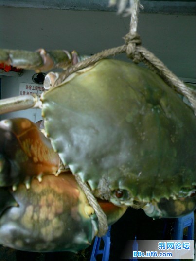 打渔  (33).jpg
