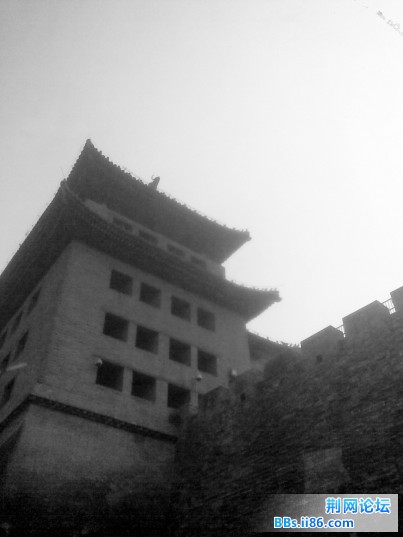 图像043_副本.jpg