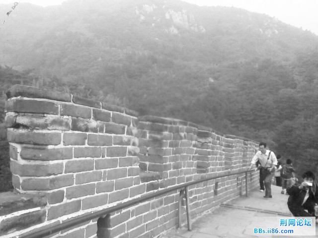 图像086_副本.jpg
