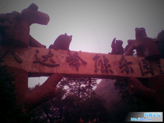 图像112_副本.jpg