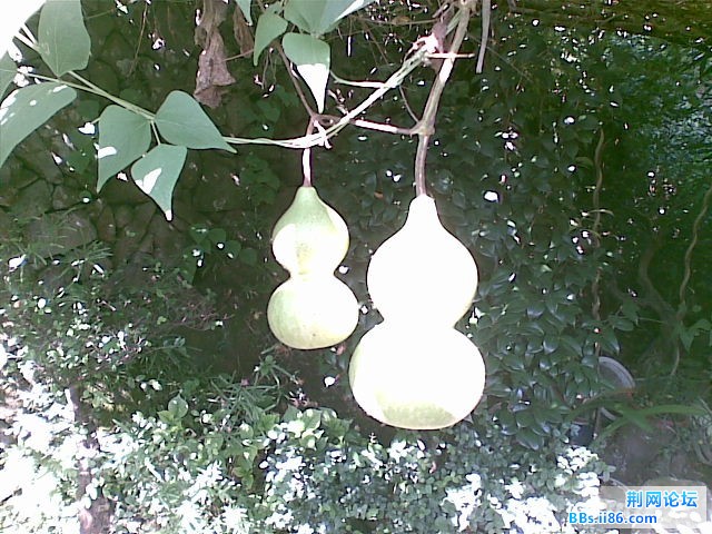 20101005(001).jpg