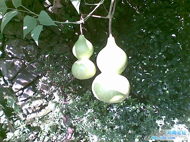 20101005.jpg
