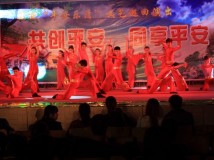 建设“平安乐清”文艺巡回演出--大荆站今晚演出已成功