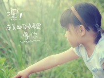 初夏--那片树林