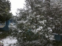 杭州下雪了