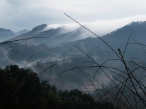 雨雾蒙蒙中的雾景