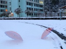 荆中分部－实验中学校区的雪景